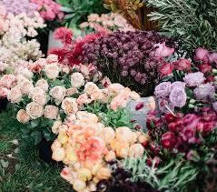 Suite # 108, houston, tx 77036. Florabundance Wholesale Flowers For Floral Designers