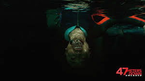 Uncaged is a 2019 survival horror film directed by johannes roberts and written by roberts and ernest riera, and a standalone sequel to 47 meters down (2017). 47 Meters Down Uncaged A Fun Movie That Features Some Great Sharks Movies Films Flix