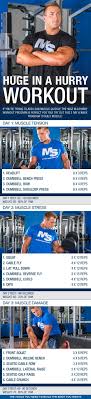 Huge In A Hurry Workout Program Workout Programs Gym Workout Tips Workout