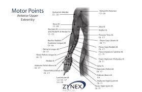 Zmpczm016000 12 16 Electrode Placement Protocol Guidelines