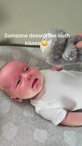 Sloth Kiss Baby Book
