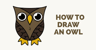 It is now time to get some more easy things that you can draw. How To Draw A Cartoon Owl In A Few Easy Steps Easy Drawing Guides