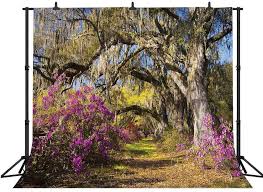 The office will be closing early tomorrow, friday december 11th. 6x6ft Vinyl Photo Backdrops Landscape Flowers In Charleston Photo Background For Photo Booth Studio Props Camera Photo Accessories Accessories Stanoc Com