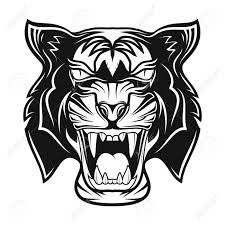 Click here to visit our gallery unknownartistmubeen about video: Tiger In Rage Grin Of A Predator Black Tribal Tattoo Vector Image Of The Head Of A Tiger Vector Illustration Royalty Free Cliparts Vectors And Stock Illustration Image 112966471