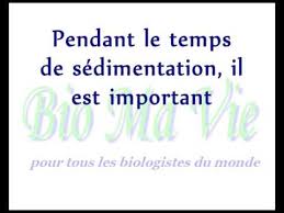 La vitesse de sédimentation permet de dépister et de surveiller des processus inflammatoires et infectieux. Voici Le Video Le Plus Facile Pour Comprendre Le Test Vitesse De Sedimentation Ou La Vs Youtube