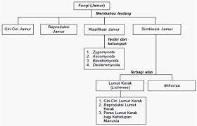 Diajukan kepada fakultas ilmu tarbiyah dan keguruan (fitk) untuk memenuhi sebagian dari syarat memperoleh gelar sarjana pendidikan (s.pd) oleh. Fungi Jamur Bio Green