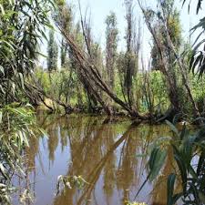 Aztec explorers is the traveller´s club of azteca travel tours art, a registred travel agency in mexico city, that organizes day, weekend and road trips in. Travelling In Time Exploring The Chinampas Of Tlahuac Mexico City Exploring Mexico Explorando Mexico