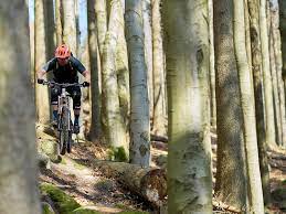 Michal prokop loves cycling and doesn't matter which d. Michal Prokop Shares His Home Trails In West Bohemia Pinkbike