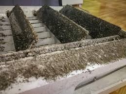 Successfully banishing mold in air conditioners depends on where it grows. How To Prevent Mold Growth In Your Hvac System