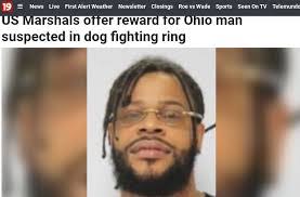 Eugene Grayer's Instagram, Twitter & Facebook