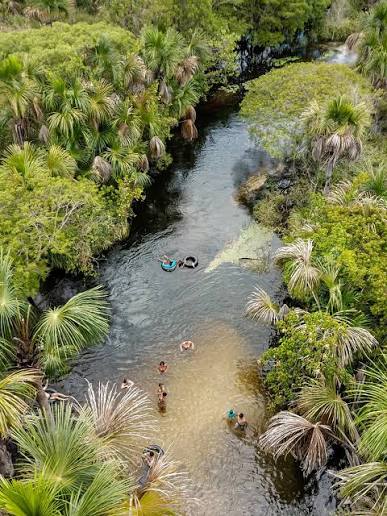 Rio de águas cristalinas em meio à natureza