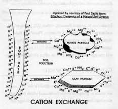 Balance Soils Cation Exchange Science Infographics Soil Health Soil