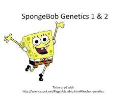 Punnett square answer key worksheets teacher worksheets. Spongebob Genetics 1 2 To Be Used With Ppt Video Online Download
