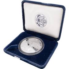 Image result for Silver Grey 1997 AAV