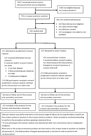 Image result for Manual Rotation in Occipitoposterior Presentation
