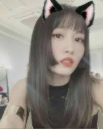 Momo Cat Girl Girl Icons Cat Icon