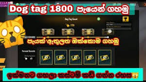24,921,322 likes · 55,722 talking about this. How To Play Guild Tournament In Free Fire Sinhala Herunterladen