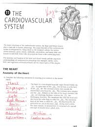 Coffee table anatomy coloring book chapter 6 rainbow heart. Ap Circulatory System Packet Key