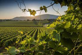 Tickets, tours, hours, address, franciacorta village reviews: Das Gebiet Der Franciacorta Viel Unternehmen Sehen Probieren Brescia Tourism