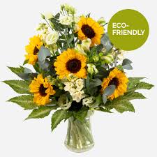 We did not find results for: Send Flowers Uk Same Day Flowers In Uk By Local Florists Direct