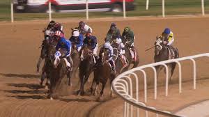 Horse racing nation free past performances. Dubai World Cup Twinspires Racing Sports Casino Bet Online With Twinspires