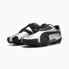 Image result for Moondust Silver 2001 Puma