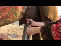 It may be difficult to find a reliable supply of camel milk in your area, but at some specialty food markets, you are likely to find it. Oontni Ka Dhoodh Quench The Thirst Street Food In Lahore Camel Milk Golectures Online Lectures
