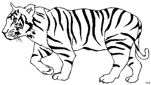 Tiger Ausmalbilder Ausmalbilder Fur Kinder Drachen Zum Ausmalen Ausmalen Ausmalbilder