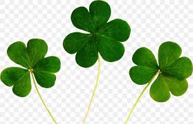 Maybe you would like to learn more about one of these? Luck Four Leaf Clover Desktop Wallpaper Symbol Png 1354x876px 4k Resolution Luck Clover Culture Of Ireland