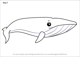 Whale cartoon vector clipart by dazdraperma 22 / 2,559 funny whale clip art vector by polkan 6 / 829 retro cartoon whale with thought bubble eps vectors by lineartestpilot 1 / 77 whale cartoon clip art vector by mcherevan 1 / 416 cartoon whale vectors by amplion 2 / 170 whale clipart vector by sararoom 2 / 49 sea life cartoon vectors. Realistic Sketch Blue Whale Drawing Rwanda 24