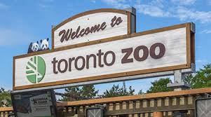 We did not find results for: The 5 Finalists For Canada S Best Restroom Contest