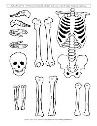 Investigate the biology of canines by creating a doggie skeleton. Pin On Kids These Days