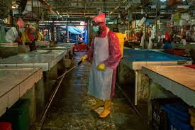Bagi yang ingin pick up sendiri di shah alam,mohon dapat buat deposit 80% sebagai tanda setuju.kami tidak dapat buat cash on demand c.o.d lagi berikutan pelbagai. Coronavirus Supply Of Vegetables Hit In Klang Valley As Main Wholesale Market Disrupted Se Asia News Top Stories The Straits Times