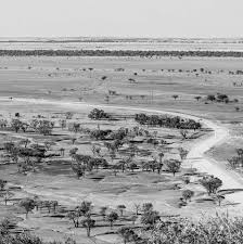 Native Title Year in Review