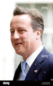 Prime minister david cameron reception hi-res stock photography and images 