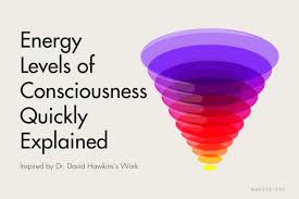 Image result for Level of Consciousness