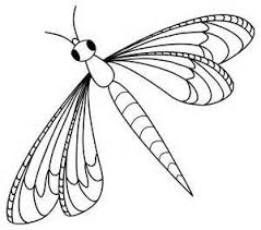 Dragonflies Butterflies Faries Drawing Insect Coloring Pages Butterfly Coloring Page Animal Coloring Pages