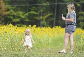 Maybe you would like to learn more about one of these? Flower Girl Local The Journal Gazette