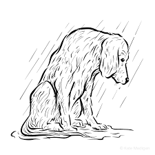 Hand drawing an elderly woman with her dog vector. Pin On Artistic Inspiration