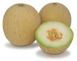 Entdecke rezepte, einrichtungsideen, stilinterpretationen und andere ideen zum ausprobieren. Buah Melon Png 1 Png Image