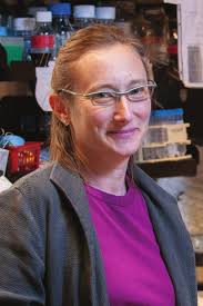 2019 Stanford Bio-X Annual Report