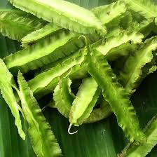 Image result for Psophocarpus