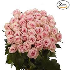 Freshly baked birthday sweets and desserts , like cookies, brownies, and cake pops. Amazon Com Pink Roses 50 Fresh Flowers Beautiful Gift Next Day Delivery Tuesday August 24 Fresh Cut Format Rose Flowers Grocery Gourmet Food