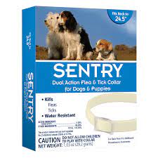 First up on our list of the best flea treatments for dogs is bayer advantage ii topical flea treatment for dogs. Sentry Dual Action Flea Tick Collar For Dogs Petco