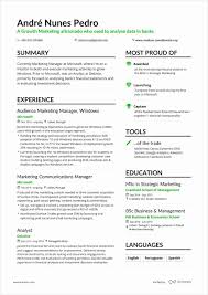 20 Google Product Manager Resume Takethisjoborshoveit Com In 2020 Project Manager Resume Resume Objective Examples Manager Resume