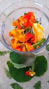 Foods Of Joy Mango Smoothie With Daisy And Nasturtium Flowers Mango Smoothie Nasturtium Wild Food