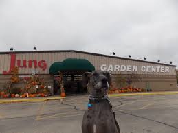 Mac Has Been Visiting All Of The Jung Garden Center Locations And Decided He Wanted To Share Some Of What He Saw This Is The Visiting Great Dane Garden Center