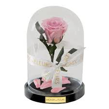 Damit beweist sie, dass das leben weitaus mehr zu bieten hat, als den richtigen partner fürs leben zu finden. Monde Des Fleurs De Rose Im Glas Und Flowerbox Monde Des Fleurs