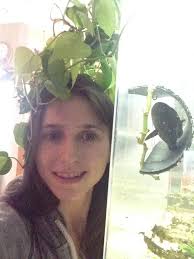 Fish and anime inspired online shopping discussion