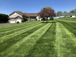 Latimer explains that a striping kit isn't required to create a beautifully striped lawn. What Kind Of Lawn Striper Do You Guys Use The Lawn Forum